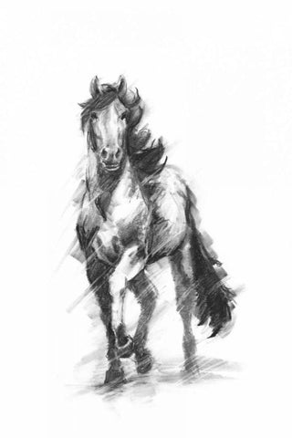 Dynamic Equestrian I Black Ornate Wood Framed Art Print with Double Matting by Harper, Ethan