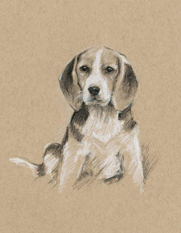 Breed Sketches I Black Ornate Wood Framed Art Print with Double Matting by Harper, Ethan