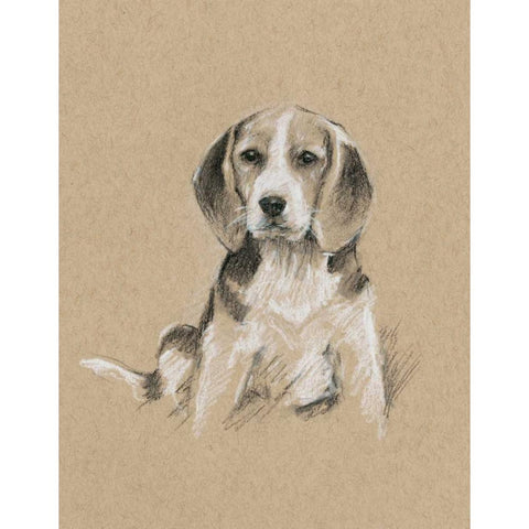 Breed Sketches I Black Modern Wood Framed Art Print with Double Matting by Harper, Ethan