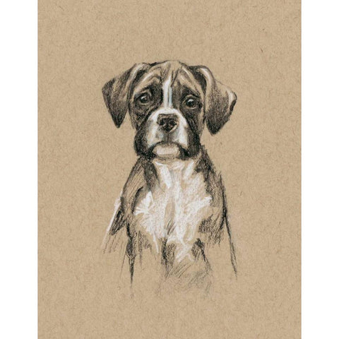 Breed Sketches V Gold Ornate Wood Framed Art Print with Double Matting by Harper, Ethan