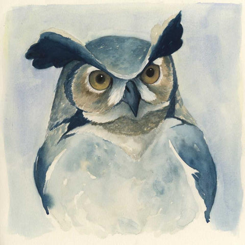 Midnight Aves I Black Modern Wood Framed Art Print by Popp, Grace