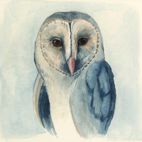 Midnight Aves II Black Modern Wood Framed Art Print by Popp, Grace