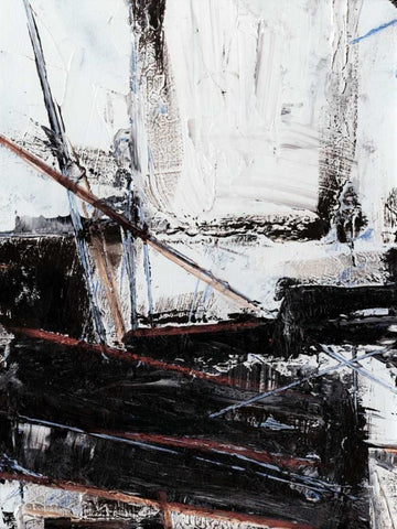 Cloud to Ground I Black Ornate Wood Framed Art Print with Double Matting by Harper, Ethan