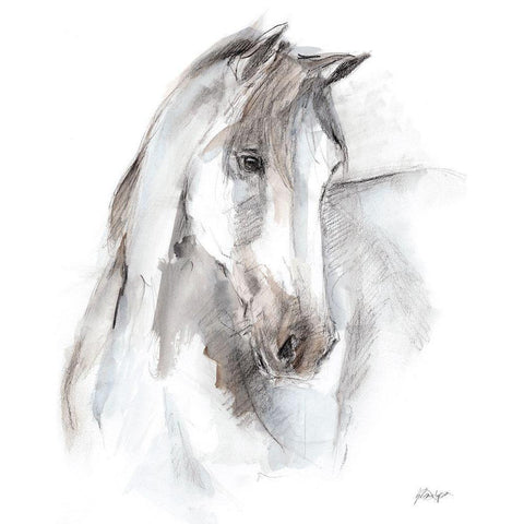 Watercolor Equine Study I Black Modern Wood Framed Art Print with Double Matting by Harper, Ethan