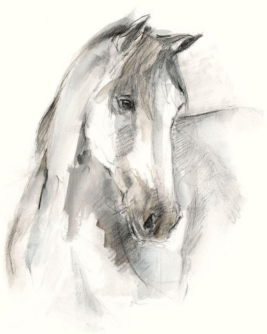 Watercolor Equine Study I White Modern Wood Framed Art Print with Double Matting by Harper, Ethan