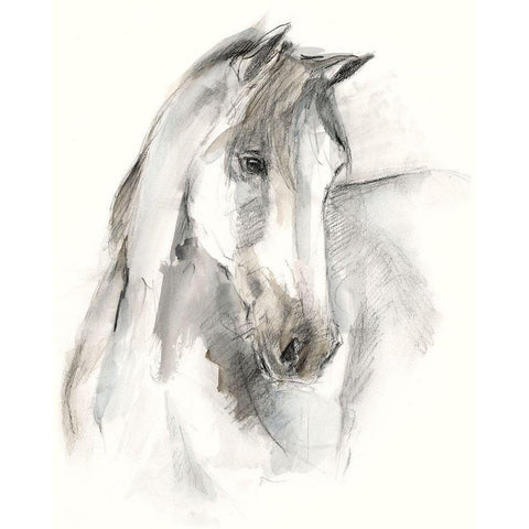 Watercolor Equine Study I Black Modern Wood Framed Art Print with Double Matting by Harper, Ethan