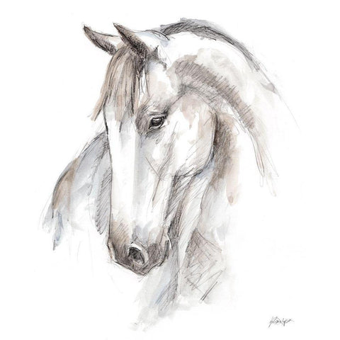 Watercolor Equine Study II Black Modern Wood Framed Art Print with Double Matting by Harper, Ethan