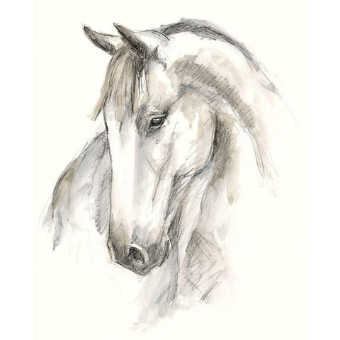 Watercolor Equine Study II Gold Ornate Wood Framed Art Print with Double Matting by Harper, Ethan