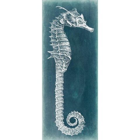 Azure Seahorse II Black Modern Wood Framed Art Print with Double Matting by Vision Studio