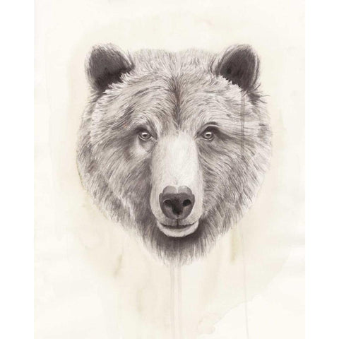 American Wilderness I Black Modern Wood Framed Art Print by Popp, Grace