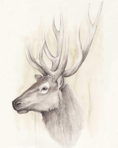 American Wilderness III Black Ornate Wood Framed Art Print with Double Matting by Popp, Grace