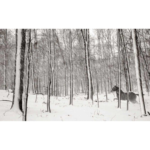 A Snowy Walk II Gold Ornate Wood Framed Art Print with Double Matting by McLoughlin, James