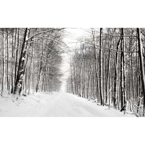 A Snowy Walk III Gold Ornate Wood Framed Art Print with Double Matting by McLoughlin, James