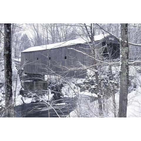 Bulls Bridge White Modern Wood Framed Art Print by McLoughlin, James