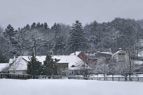 Garrison Black Ornate Wood Framed Art Print with Double Matting by McLoughlin, James