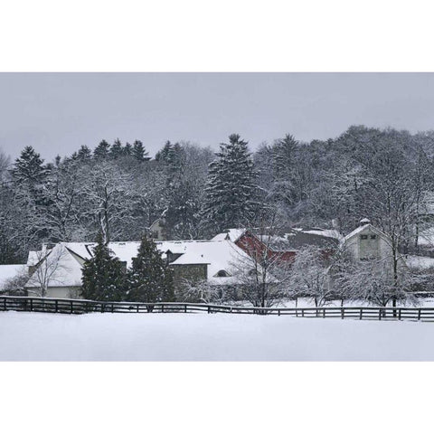 Garrison Black Modern Wood Framed Art Print with Double Matting by McLoughlin, James