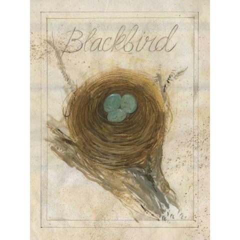 Nest - Blackbird White Modern Wood Framed Art Print by Della-Piana, Elissa