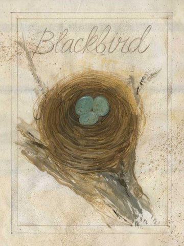 Nest - Blackbird Black Ornate Wood Framed Art Print with Double Matting by Della-Piana, Elissa