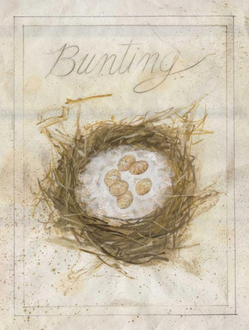 Nest - Bunting White Modern Wood Framed Art Print with Double Matting by Della-Piana, Elissa