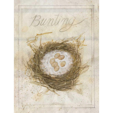 Nest - Bunting Gold Ornate Wood Framed Art Print with Double Matting by Della-Piana, Elissa