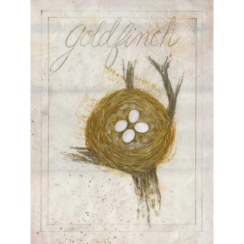 Nest - Goldfinch Black Modern Wood Framed Art Print with Double Matting by Della-Piana, Elissa