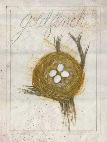 Nest - Goldfinch White Modern Wood Framed Art Print with Double Matting by Della-Piana, Elissa