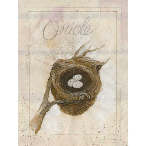 Nest - Oriole Black Modern Wood Framed Art Print by Della-Piana, Elissa