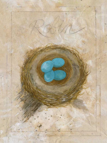 Nest - Robin White Modern Wood Framed Art Print with Double Matting by Della-Piana, Elissa