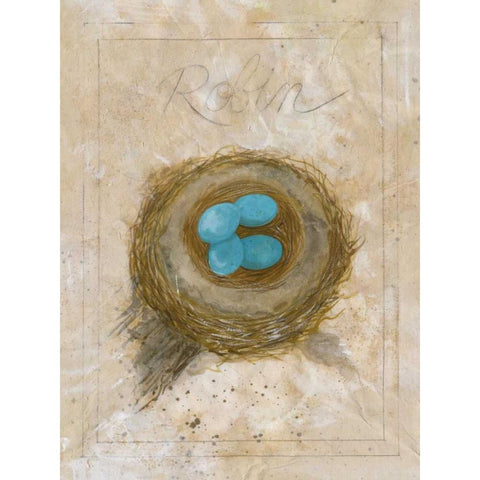 Nest - Robin Gold Ornate Wood Framed Art Print with Double Matting by Della-Piana, Elissa