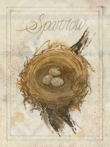 Nest - Sparrow Black Ornate Wood Framed Art Print with Double Matting by Della-Piana, Elissa