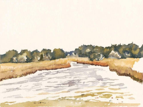 Minimalist Coastline II Black Ornate Wood Framed Art Print with Double Matting by Miller, Dianne