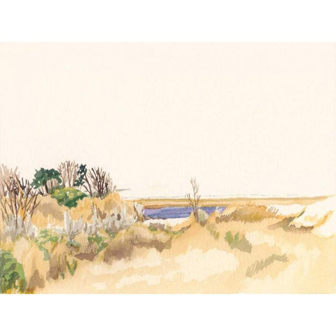 Minimalist Coastline III Black Modern Wood Framed Art Print with Double Matting by Miller, Dianne