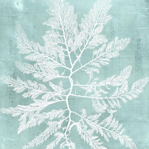 Seaweed on Aqua I White Modern Wood Framed Art Print with Double Matting by Vision Studio