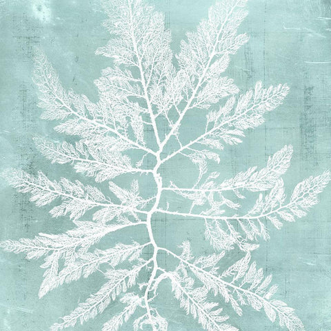 Seaweed on Aqua I White Modern Wood Framed Art Print by Vision Studio