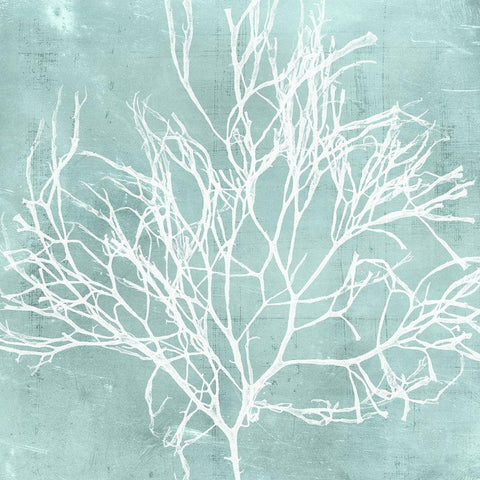 Seaweed on Aqua II White Modern Wood Framed Art Print with Double Matting by Vision Studio