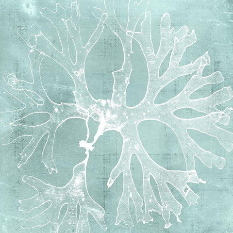 Seaweed on Aqua III Black Ornate Wood Framed Art Print with Double Matting by Vision Studio