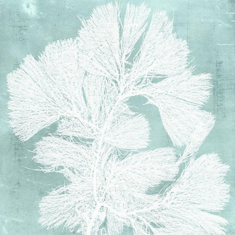 Seaweed on Aqua IV White Modern Wood Framed Art Print by Vision Studio