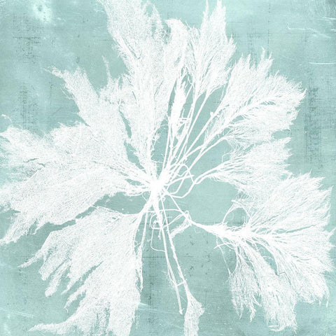 Seaweed on Aqua VI White Modern Wood Framed Art Print by Vision Studio