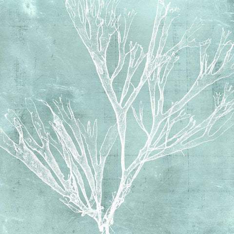 Seaweed on Aqua VII White Modern Wood Framed Art Print by Vision Studio