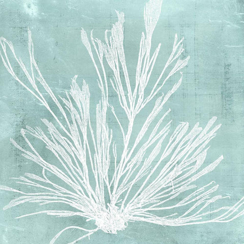 Seaweed on Aqua IX White Modern Wood Framed Art Print by Vision Studio