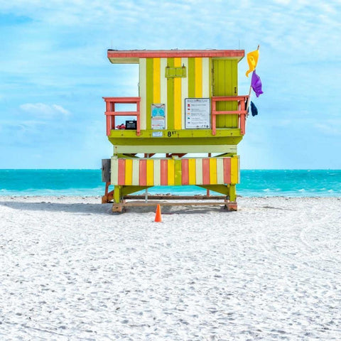 Miami Beach IX White Modern Wood Framed Art Print by Silver, Richard