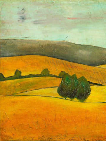 Pastel Hills III Black Ornate Wood Framed Art Print with Double Matting by Altug, Mehmet