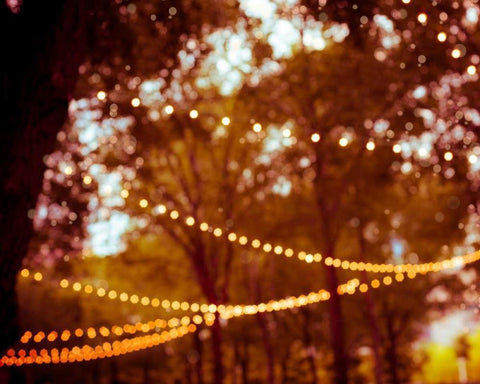 Summer Trees I Black Ornate Wood Framed Art Print with Double Matting by Quintero, Sonja