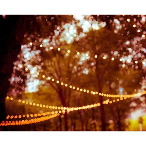 Summer Trees I Black Modern Wood Framed Art Print with Double Matting by Quintero, Sonja