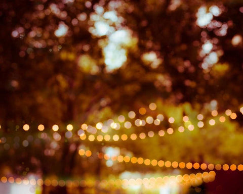 Summer Trees II White Modern Wood Framed Art Print with Double Matting by Quintero, Sonja