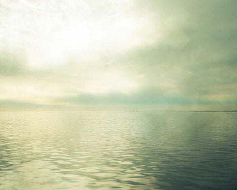 Calm Waters II Black Ornate Wood Framed Art Print with Double Matting by Quintero, Sonja