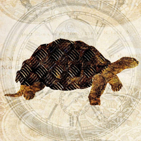 Steam Punk Turtle II White Modern Wood Framed Art Print with Double Matting by Ilosky, Pam