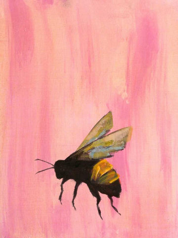 Pollinators II White Modern Wood Framed Art Print with Double Matting by Altug, Mehmet
