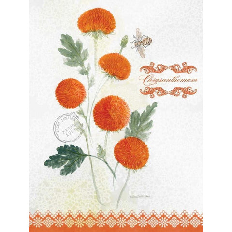 Flower Study on Lace IV Gold Ornate Wood Framed Art Print with Double Matting by Della-Piana, Elissa