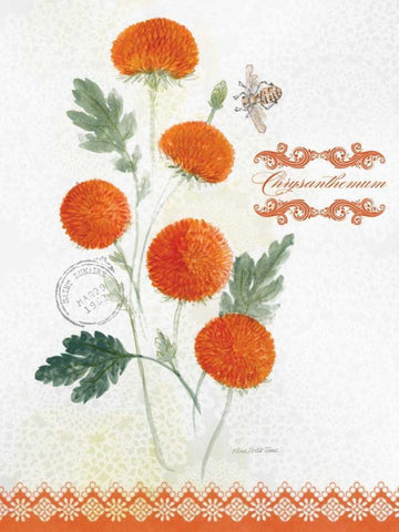 Flower Study on Lace IV Black Ornate Wood Framed Art Print with Double Matting by Della-Piana, Elissa